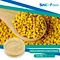 Arnica Montana Flower Extract Powder 10: 1 20: 1